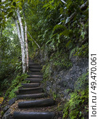 Hiking trail in forest, Chaa Creek Road, Chaa Creek Nature Reserve, San Ignacio, Belize. Стоковое фото, агентство Ingram Publishing / Фотобанк Лори