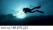 Scuba divers underwater, The Great Blue Hole, Belize Barrier Reef, Lighthouse Reef, Belize. Стоковое фото, агентство Ingram Publishing / Фотобанк Лори