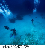 Scuba divers underwater, Tarpon Cayes, Belize Barrier Reef, Lighthouse Reef, Belize. Стоковое фото, агентство Ingram Publishing / Фотобанк Лори