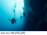 Scuba divers underwater, The Great Blue Hole, Belize Barrier Reef, Lighthouse Reef, Belize. Стоковое фото, агентство Ingram Publishing / Фотобанк Лори
