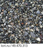 High angle view of pebbles on Spiral Beach, Victoria, British Columbia, Canada. Стоковое фото, агентство Ingram Publishing / Фотобанк Лори