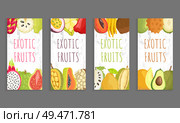 Kiwano, avocado cupuacu, salak kumquat, lychee and bael, papaya and succulent mango. Ambarella melon, avocado jackfruit vector tropical fruits brochures. Kiwano, Avocado Cupuacu Salak Kumquat Lychee Bael. Стоковая иллюстрация, агентство Ingram Publishing / Фотобанк Лори
