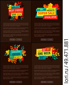 Best choice exclusive product offer of shop. Autumn discounts and sellout of products natural goods. Reduced prices decreased costs sale set vector. Best Choice Exclusive Product Vector Illustration. Стоковая иллюстрация, агентство Ingram Publishing / Фотобанк Лори