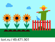 Scarecrow bogey and sunflowers field. Bugaboo enclosed with wooden fence protecting crop from crows. Golliwog on farm and plants in ground vector. Scarecrow and Sunflower Field Vector Illustration. Стоковая иллюстрация, агентство Ingram Publishing / Фотобанк Лори