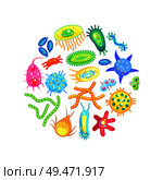 Zoomed different shaped and sized germs isolated. Vector microbes and bacterias view through magnifier or microscope poster for children teaching.. Microbes Bacteria and Viruses Healthcare Poster. Стоковая иллюстрация, агентство Ingram Publishing / Фотобанк Лори