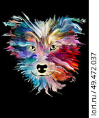 Splash painting of a dog on black background on subject of love, friendship, faithfulness, companionship between dog and man. God bless animals series. Стоковое фото, агентство Ingram Publishing / Фотобанк Лори