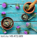 Medical plants flowers.Milk thistle or Silybum marianum. Herbal medicine and homeopathy. Стоковое фото, агентство Ingram Publishing / Фотобанк Лори
