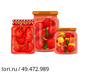 Vegetables granny preparation or conservation poster. Vector pickled peppers with peppercorn, canned tomatoes with bay leaf in big and small bottle.. Peppers and Tomatoes Conservation Vector Poster. Стоковая иллюстрация, агентство Ingram Publishing / Фотобанк Лори