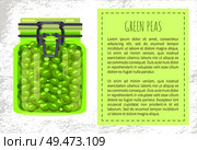 Green peas preserved food in unlabeled glass jar with metal clip cap. Green pickled legume homemade conservation vector illustration poster, text sample. Green Peas Preserved Food in Unlabeled Glass Jar. Стоковая иллюстрация, агентство Ingram Publishing / Фотобанк Лори