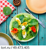 Salads from flowers and leaves of nasturtium with egg.Diet food.Colored salad. Summer nasturtium salad. Стоковое фото, агентство Ingram Publishing / Фотобанк Лори