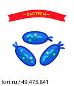 Bacteria pictorial applique isolated, life form under microscope. Vector oval shape microbe or virus depiction poster with title swallowtailed tape.. Bacteria or Microbe Life Form Under Microscope. Стоковая иллюстрация, агентство Ingram Publishing / Фотобанк Лори