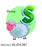 Letter S for Sheep cartoon alphabet for children. Volume symbol with star pattern, ewe with fleecy and soft wool and pink muzzle, vector icon isolated. Letter S for Sheep cartoon alphabet for children. Стоковая иллюстрация, агентство Ingram Publishing / Фотобанк Лори