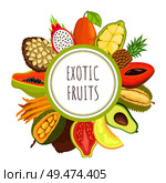 Exotic fruits papaya poster text and organic products vector. Tropical meal pitaya and avocado, durian and citron slices, melon and pineapple marang. Exotic Fruits Papaya Mamey Pitaya Poster Vector. Стоковая иллюстрация, агентство Ingram Publishing / Фотобанк Лори