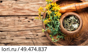 Fresh flowers of St. John’s wort.Herbal medicine.Medicinal herbs. Bunch of blooming Hypericum. Стоковое фото, агентство Ingram Publishing / Фотобанк Лори