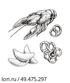 Graphic art of crayfish with chips and pretzel, isolated on white background vector illustration roasted and baked food, image of tasty snack for beer. Graphic Art of Crayfish with Chips and Pretzel. Стоковая иллюстрация, агентство Ingram Publishing / Фотобанк Лори