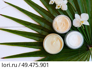 Coconut oil and cosmetics with green palm leaves top view, close up on white wooden background. Coconut oil nd cosmetics. Стоковое фото, агентство Ingram Publishing / Фотобанк Лори