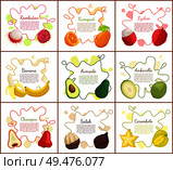 Rambutan and banana, avocado and lychee posters set with text sample. Kumquat and delicious chompoo, ripe salak. Tropical exotic organic fruits vector. Rambutan and Banana Posters Vector Illustration. Стоковая иллюстрация, агентство Ingram Publishing / Фотобанк Лори