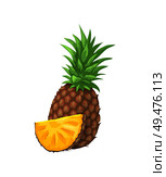 Pineapple tropical fruit isolated icon vector. Exotic fresh nutritious plant with leaves, sliced product. Succulent vegan product contain vitamins. Pineapple Tropical Fruit Icon Vector Illustration. Стоковая иллюстрация, агентство Ingram Publishing / Фотобанк Лори