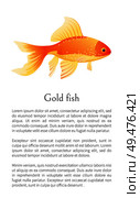 Red goldfish isolated on white. Freshwater aquarium fish silhouette hand drawn graphic icon on blank background in cartoon style vector illustration. Red goldfish aquarium fish isolated on white. Стоковая иллюстрация, агентство Ingram Publishing / Фотобанк Лори