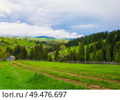 Scenic view of Carpathian mountains nature and acontry road leading to an old village of wooden cabins on the hills. Sunny spring day with green grass, flowering meadows and evergreen forests. . Стоковое фото, агентство Ingram Publishing / Фотобанк Лори