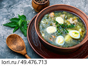 Ukrainian green borsch.Borsch with sorrel and nettles.Russian cuisine.Ukrainian cuisine.. Sorrel soup in bowl. Стоковое фото, агентство Ingram Publishing / Фотобанк Лори