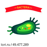 Bacteria poster cell closeup. Microorganism harmful for human health and banner ribbon on top. Organism infection body virus icon isolated  vector. Bacteria Poster Cell Closeup Vector Illustration. Стоковая иллюстрация, агентство Ingram Publishing / Фотобанк Лори