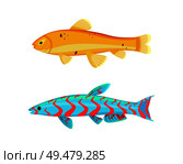 Malawi yellow zebra fish set. Limbless animals living in water with red lines on body. Biological organisms of seas and oceans vector illustration. Malawi Yellow Zebra Fish Set Vector Illustration. Стоковая иллюстрация, агентство Ingram Publishing / Фотобанк Лори
