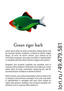 Green tiger barb isolated on white. Freshwater aquarium fish silhouette hand drawn graphic icon on blank background cartoon style vector illustration. Green Tiger Barb Aquarium Fish Isolated on White. Стоковая иллюстрация, агентство Ingram Publishing / Фотобанк Лори