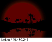 Reflection in water Silhouette of Caravan mit people and camels wandering through the deserts with palms at night and day. Vector Illustration. EPS10. Reflection in water Silhouette of Caravan mit people and camels wandering through the deserts with palms at night and day. Vector Illustration. Стоковая иллюстрация, агентство Ingram Publishing / Фотобанк Лори