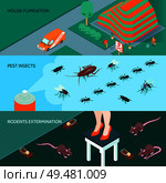 Domestic disinfection horizontal banners set with methods of insects and rodents extermination 3d isometric isolated vector illustration. Domestic Disinfection Isometric Banners. Стоковая иллюстрация, агентство Ingram Publishing / Фотобанк Лори