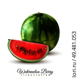 Ripe realistic whole watermelon and quarter berry wedge image against white background shadow beautiful lettering  vector illustration . Watermelon Realistic Image. Стоковая иллюстрация, агентство Ingram Publishing / Фотобанк Лори