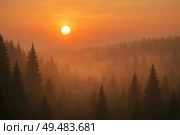 Sunrise over the forest in the fog. Стоковое AI-изображение, AI-художник Анастасия / Фотобанк Лори
