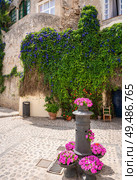 Ibiza Eivissa downtown Dalt Vila flower facades in Balearic Islands. Стоковое фото, агентство Ingram Publishing / Фотобанк Лори