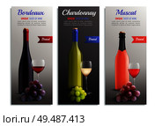 Wine realistic vertical banners with presentation of unique taste bordeaux chardonnay muscat variety of wine vector illustration. Стоковая иллюстрация, агентство Ingram Publishing / Фотобанк Лори