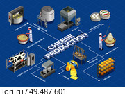 Cheese production isometric flowchart illustrated process from milk yield and pasteurization to fermenting pressing and ripening vector illustration. Стоковая иллюстрация, агентство Ingram Publishing / Фотобанк Лори
