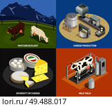 Cheese production 2x2 design concept set of pasture milk yield manufacturing diversity of cheese square icons isometric vector illustration. Стоковая иллюстрация, агентство Ingram Publishing / Фотобанк Лори