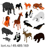 Herbivorous and predatory zoo animals set of isometric icons on white background isolated vector illustration. Стоковая иллюстрация, агентство Ingram Publishing / Фотобанк Лори