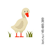 White goose standing on greenish grass cartoon character for children book illustration. Flat colorful vector farm animal depiction isolated on white.. White Goose Standing on Grass Cartoon Style Poster. Стоковая иллюстрация, агентство Ingram Publishing / Фотобанк Лори