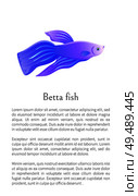 Blue betta fish, siamese fighting fish graphic icon. Freshwater aquarium agressive pet on blank background in cartoon style vector illustration.. Betta Fish, Siamese Fighting Fish Graphic Icon. Стоковая иллюстрация, агентство Ingram Publishing / Фотобанк Лори