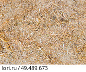 .Abstract sawdust or wood dust texture background. Close up top view of dry wood shavings, industry concept. Стоковое фото, агентство Ingram Publishing / Фотобанк Лори