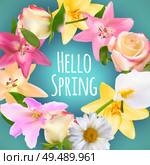 Hello Spring Banner Greetings Design  Background with Colorful Flower Elements. Vector illustration. EPS10. Hello Spring Banner Greetings Design  Background with Colorful Flower Elements. Vector illustration. Стоковая иллюстрация, агентство Ingram Publishing / Фотобанк Лори