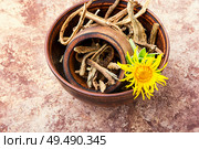 Roots and rhizomes of elecampane.Medicinal plant inula. Mortar with inula roots. Стоковое фото, агентство Ingram Publishing / Фотобанк Лори