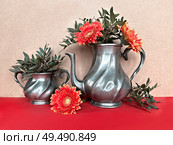 Vintage Pewter Teapots with Bright Orange Gerbera Flowers and Greenery on Red Surface. Стоковое фото, фотограф Аnna Ivanova / Фотобанк Лори