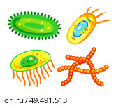 Bacteria and germs cells, microbes vector icons. Microorganisms and viruses disease-causing objects with organelles and flagella, protozoa isolated. Bacteria and germs cells, microbes vector icons. Стоковая иллюстрация, агентство Ingram Publishing / Фотобанк Лори
