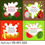 Rambutan and pitaya, posters set with text sample. Watermelon with seeds and vitamins, ripe banana, tasty tropical and exotic fruits with info vector. Rambutan and Pitaya Posters Vector Illustration. Стоковая иллюстрация, агентство Ingram Publishing / Фотобанк Лори