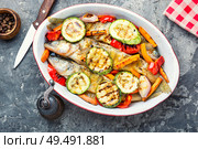 Baked fish with vegetable garnish.Baked pike perch with zucchini and pepper.Fish food. Delicious roasted fish. Стоковое фото, агентство Ingram Publishing / Фотобанк Лори