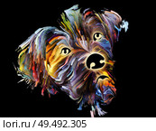Speed painting of a pet on black background on subject of love, friendship, faithfulness, companionship between dog and man. God bless animals series. Стоковое фото, агентство Ingram Publishing / Фотобанк Лори