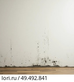 A deteriorating interior wall exhibits visible mold and stains, illustrating the effects of dampness and lack of maintenance in an indoor environment, creating an unsettling atmosphere Generative AI. Стоковое AI-изображение, AI-художник Юлия Петровская / Фотобанк Лори