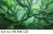 A dense forest dominated by numerous green trees creating a lush and vibrant canopy. Стоковое AI-изображение, AI-художник Данила Большаков / Фотобанк Лори