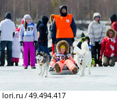 Mushing on husky dogs at Baikal Fishing 2012. Редакционное фото, фотограф Александр Подшивалов / Фотобанк Лори